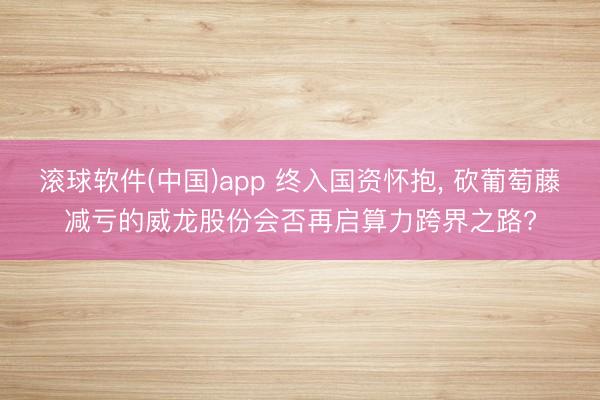 滚球软件(中国)app 终入国资怀抱， 砍葡萄藤减亏的威龙股份会否再启算力跨界之路?