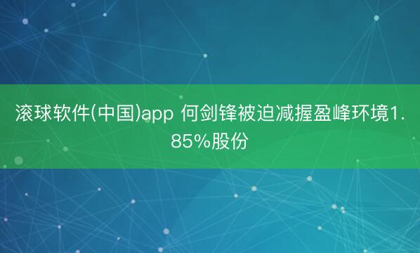 滚球软件(中国)app 何剑锋被迫减握盈峰环境1.85%股份