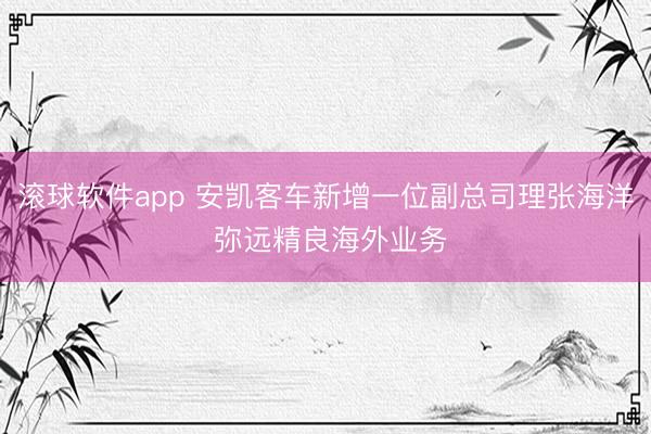滚球软件app 安凯客车新增一位副总司理张海洋 弥远精良海外业务