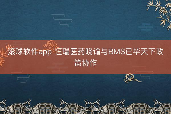 滚球软件app 恒瑞医药晓谕与BMS已毕天下政策协作