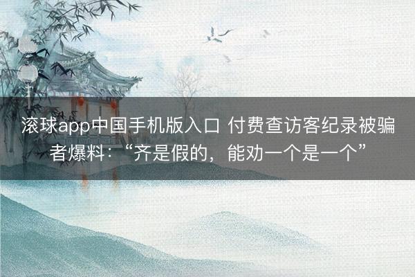 滚球app中国手机版入口 付费查访客纪录被骗者爆料：“齐是假的，能劝一个是一个”
