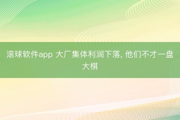 滚球软件app 大厂集体利润下落， 他们不才一盘大棋