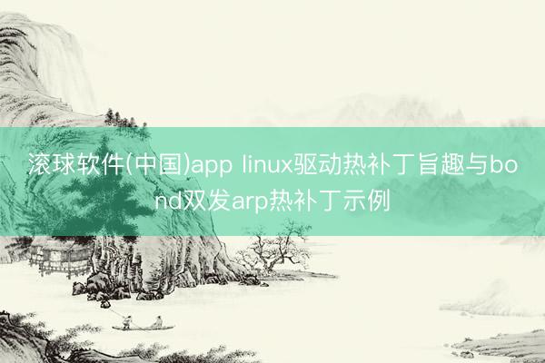 滚球软件(中国)app linux驱动热补丁旨趣与bond双发arp热补丁示例