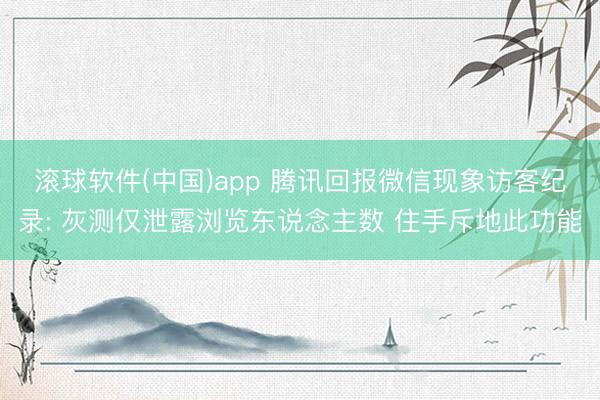 滚球软件(中国)app 腾讯回报微信现象访客纪录: 灰测仅泄露浏览东说念主数 住手斥地此功能