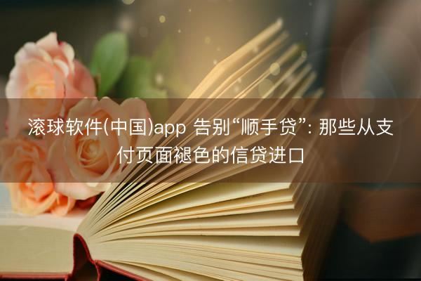 滚球软件(中国)app 告别“顺手贷”: 那些从支付页面褪色的信贷进口