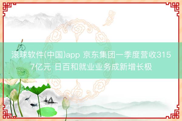 滚球软件(中国)app 京东集团一季度营收3157亿元 日百和就业业务成新增长极