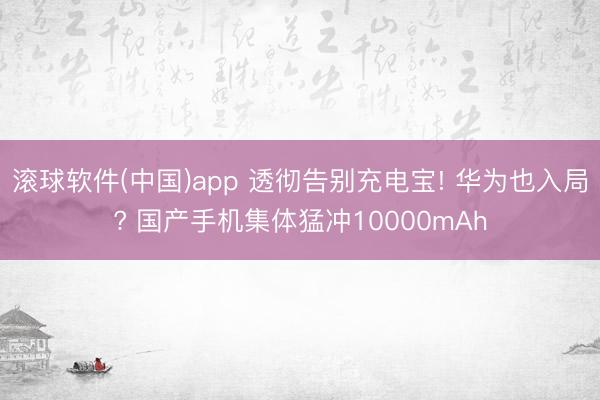 滚球软件(中国)app 透彻告别充电宝! 华为也入局? 国产手机集体猛冲10000mAh