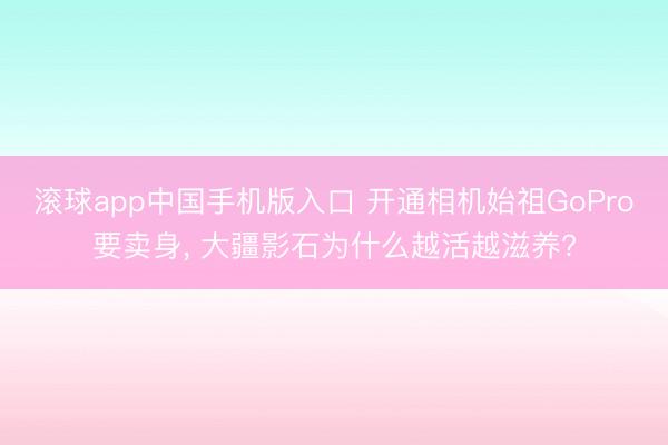 滚球app中国手机版入口 开通相机始祖GoPro要卖身， 大疆影石为什么越活越滋养?