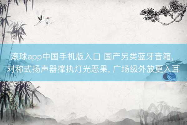 滚球app中国手机版入口 国产另类蓝牙音箱, 对称式扬声器撑执灯光恶果, 广场级外放更入耳