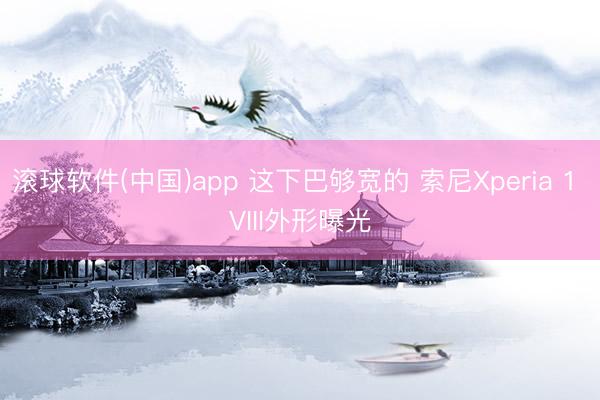 滚球软件(中国)app 这下巴够宽的 索尼Xperia 1 VIII外形曝光