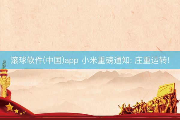 滚球软件(中国)app 小米重磅通知: 庄重运转!