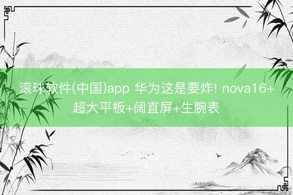 滚球软件(中国)app 华为这是要炸! nova16+超大平板+阔直屏+生腕表