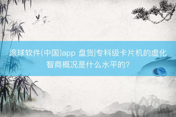 滚球软件(中国)app 盘货|专科级卡片机的虚化智商概况是什么水平的?