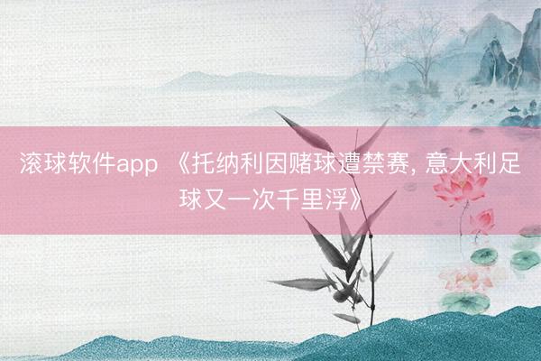 滚球软件app 《托纳利因赌球遭禁赛， 意大利足球又一次千里浮》