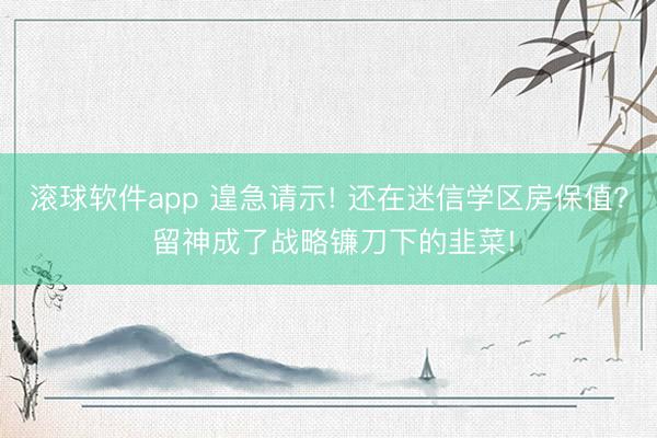 滚球软件app 遑急请示! 还在迷信学区房保值? 留神成了战略镰刀下的韭菜!