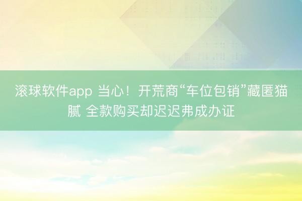 滚球软件app 当心！开荒商“车位包销”藏匿猫腻 全款购买却迟迟弗成办证