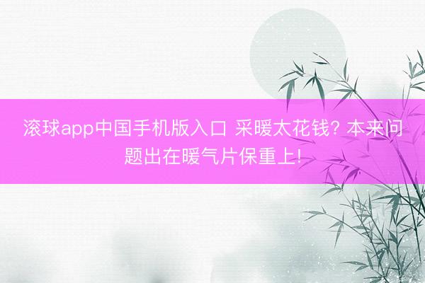 滚球app中国手机版入口 采暖太花钱? 本来问题出在暖气片保重上!