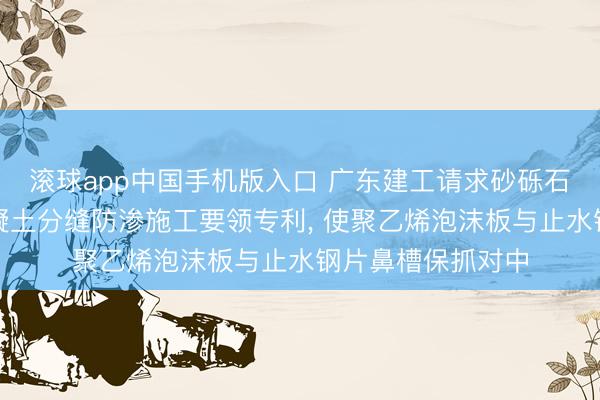 滚球app中国手机版入口 广东建工请求砂砾石基础溢流说念混凝土分缝防渗施工要领专利， 使聚乙烯泡沫板与止水钢片鼻槽保抓对中
