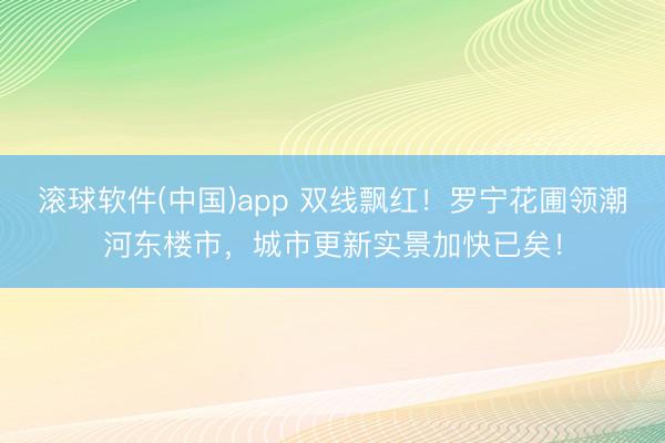 滚球软件(中国)app 双线飘红！罗宁花圃领潮河东楼市，城市更新实景加快已矣！