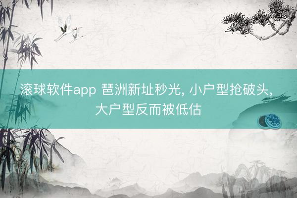 滚球软件app 琶洲新址秒光， 小户型抢破头， 大户型反而被低估