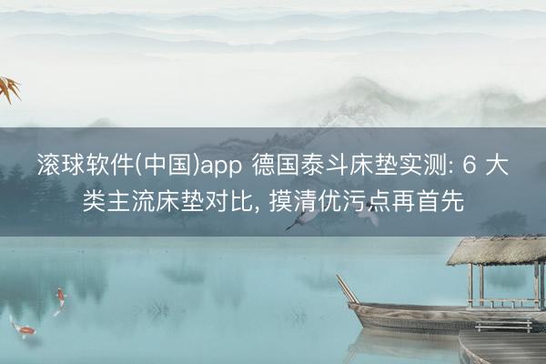 滚球软件(中国)app 德国泰斗床垫实测: 6 大类主流床垫对比， 摸清优污点再首先