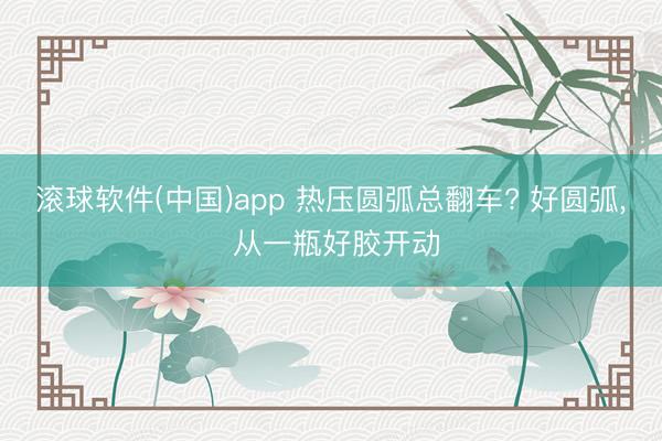滚球软件(中国)app 热压圆弧总翻车? 好圆弧， 从一瓶好胶开动