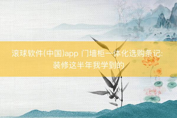 滚球软件(中国)app 门墙柜一体化选购条记: 装修这半年我学到的