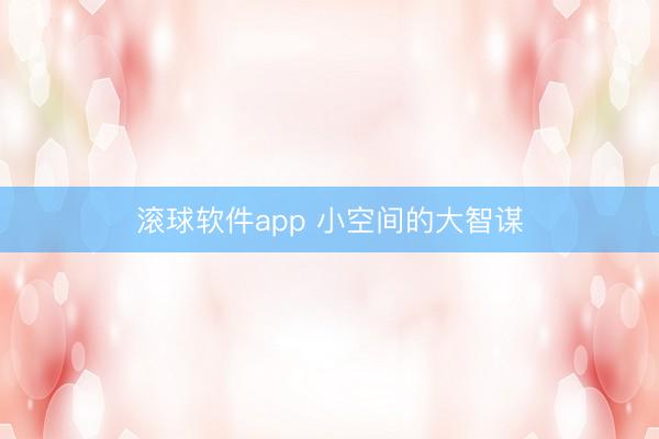 滚球软件app 小空间的大智谋