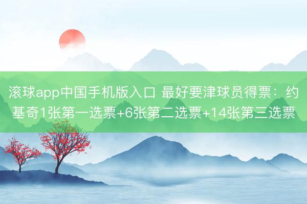 滚球app中国手机版入口 最好要津球员得票：约基奇1张第一选票+6张第二选票+14张第三选票