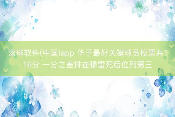 滚球软件(中国)app 华子最好关键球员投票共116分 一分之差排在穆雷死后位列第三