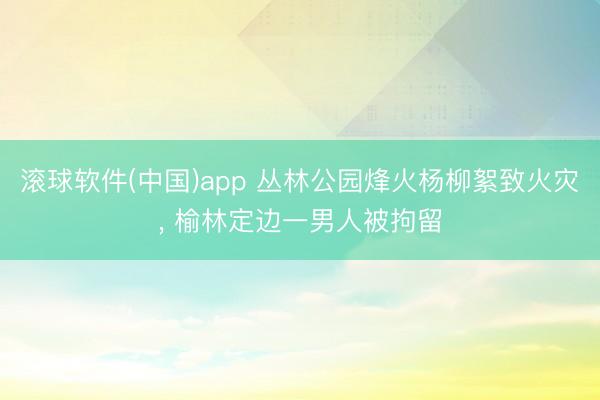 滚球软件(中国)app 丛林公园烽火杨柳絮致火灾， 榆林定边一男人被拘留