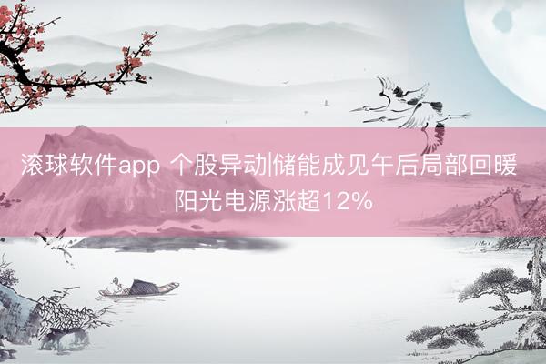 滚球软件app 个股异动|储能成见午后局部回暖 阳光电源涨超12%