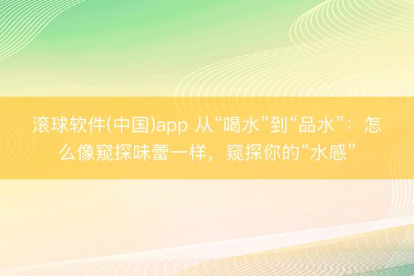 滚球软件(中国)app 从“喝水”到“品水”：怎么像窥探味蕾一样，窥探你的“水感”