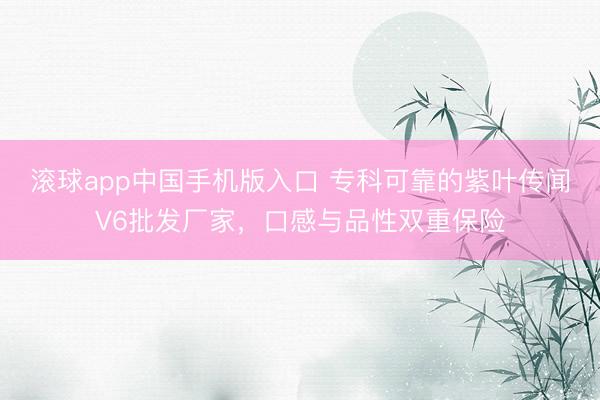 滚球app中国手机版入口 专科可靠的紫叶传闻V6批发厂家,口感与品性双重保险