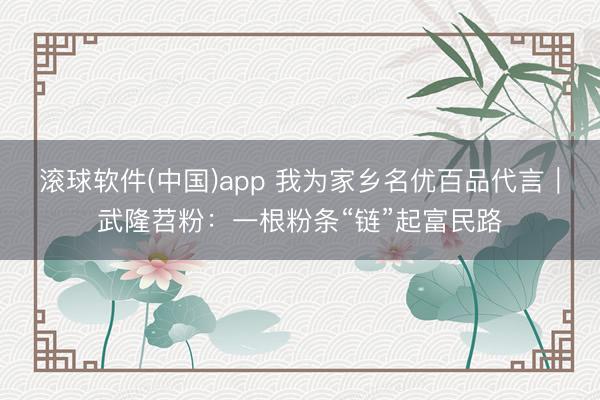 滚球软件(中国)app 我为家乡名优百品代言｜武隆苕粉：一根粉条“链”起富民路