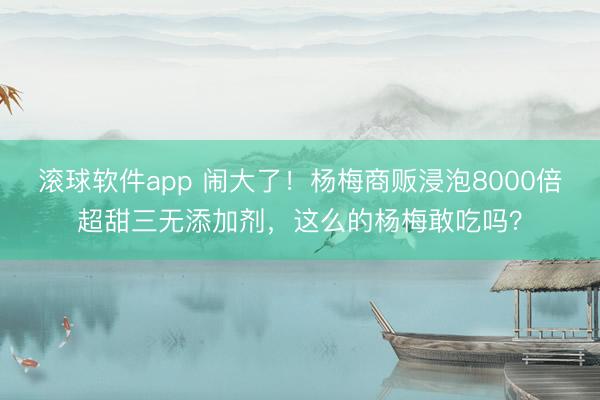 滚球软件app 闹大了！杨梅商贩浸泡8000倍超甜三无添加剂，这么的杨梅敢吃吗？