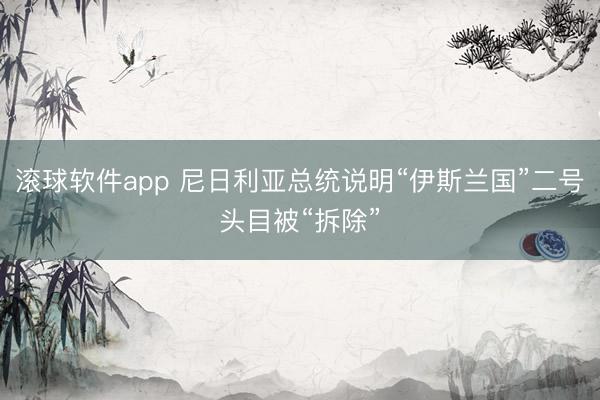 滚球软件app 尼日利亚总统说明“伊斯兰国”二号头目被“拆除”