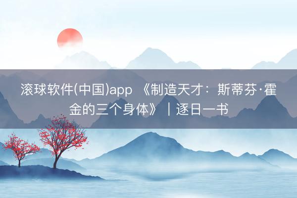 滚球软件(中国)app 《制造天才：斯蒂芬·霍金的三个身体》｜逐日一书