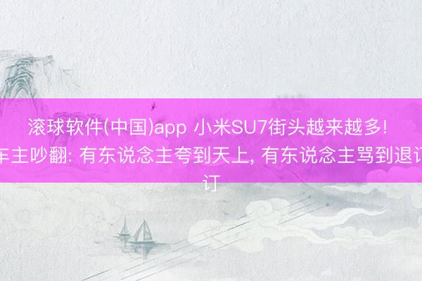 滚球软件(中国)app 小米SU7街头越来越多! 车主吵翻: 有东说念主夸到天上, 有东说念主骂到退订
