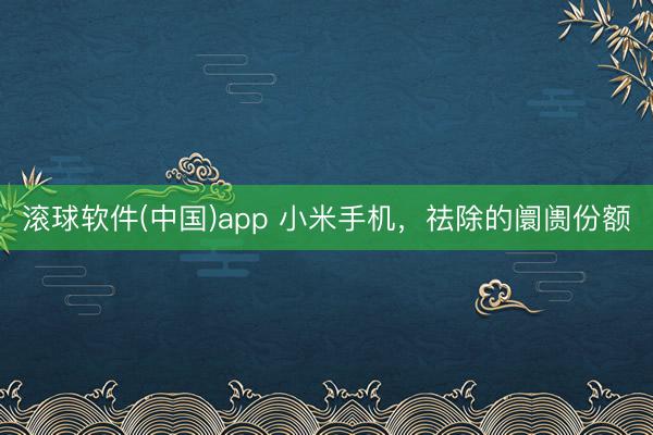 滚球软件(中国)app 小米手机，祛除的阛阓份额