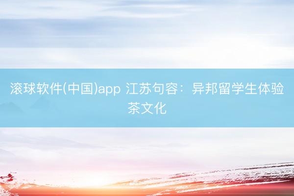 滚球软件(中国)app 江苏句容：异邦留学生体验茶文化