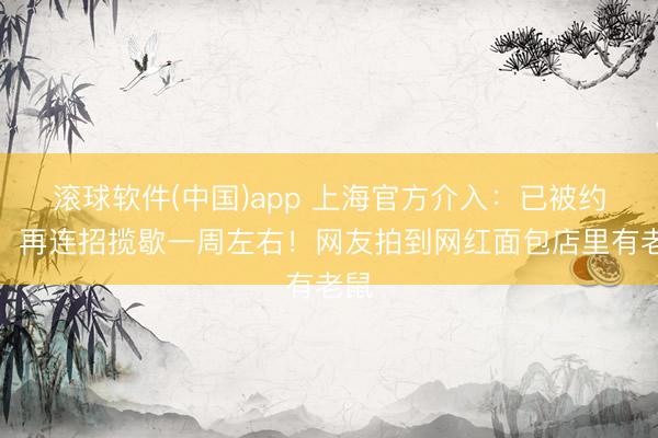 滚球软件(中国)app 上海官方介入：已被约谈，再连招揽歇一周左右！网友拍到网红面包店里有老鼠