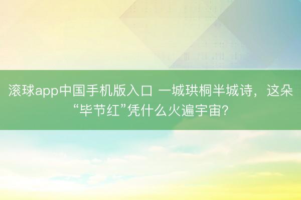 滚球app中国手机版入口 一城珙桐半城诗，这朵“毕节红”凭什么火遍宇宙？