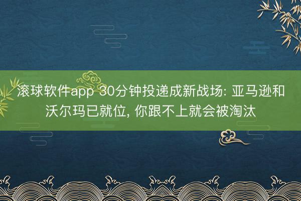 滚球软件app 30分钟投递成新战场: 亚马逊和沃尔玛已就位