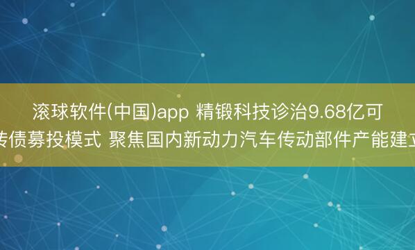 滚球软件(中国)app 精锻科技诊治9.68亿可转债募投模式 聚焦国内新动力汽车传动部件产能建立