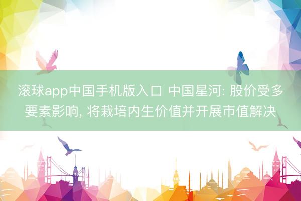 滚球app中国手机版入口 中国星河: 股价受多要素影响， 将栽培内生价值并开展市值解决