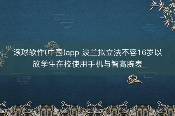 滚球软件(中国)app 波兰拟立法不容16岁以放学生在校使用手机与智高腕表