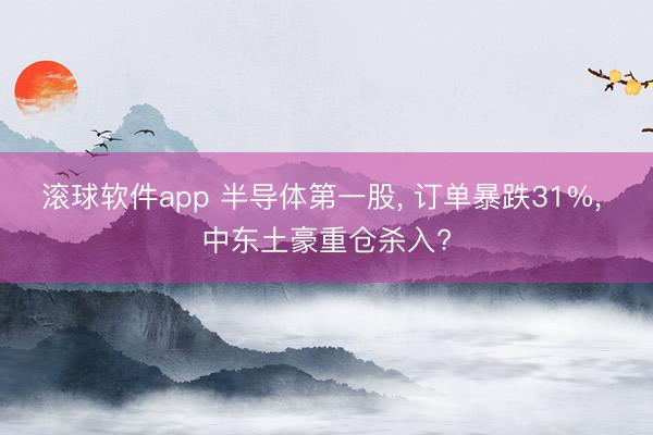滚球软件app 半导体第一股， 订单暴跌31%， 中东土豪重仓杀入?