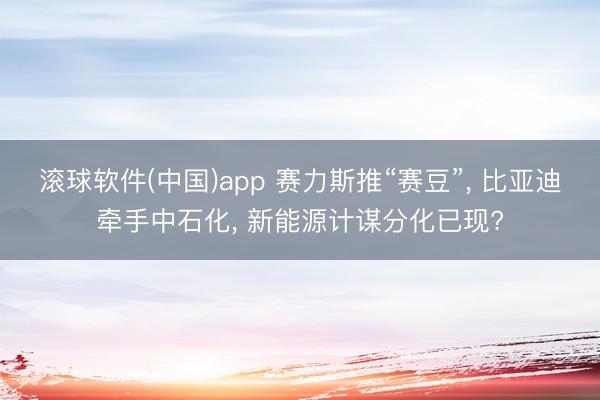 滚球软件(中国)app 赛力斯推“赛豆”， 比亚迪牵手中石化， 新能源计谋分化已现?