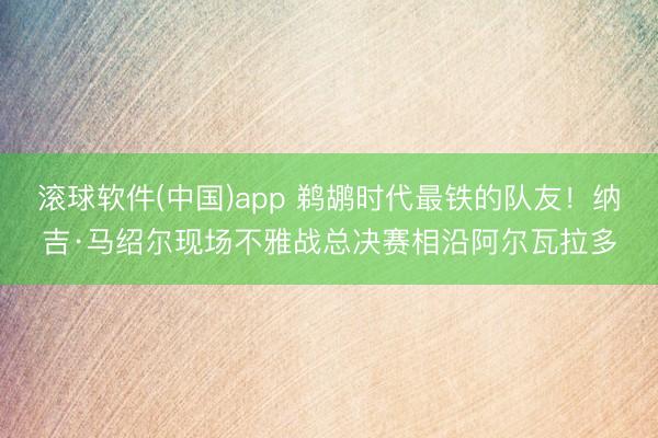 滚球软件(中国)app 鹈鹕时代最铁的队友！纳吉·马绍尔现场不雅战总决赛相沿阿尔瓦拉多
